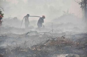 On Fire: Indonesias Unwavering Maxima