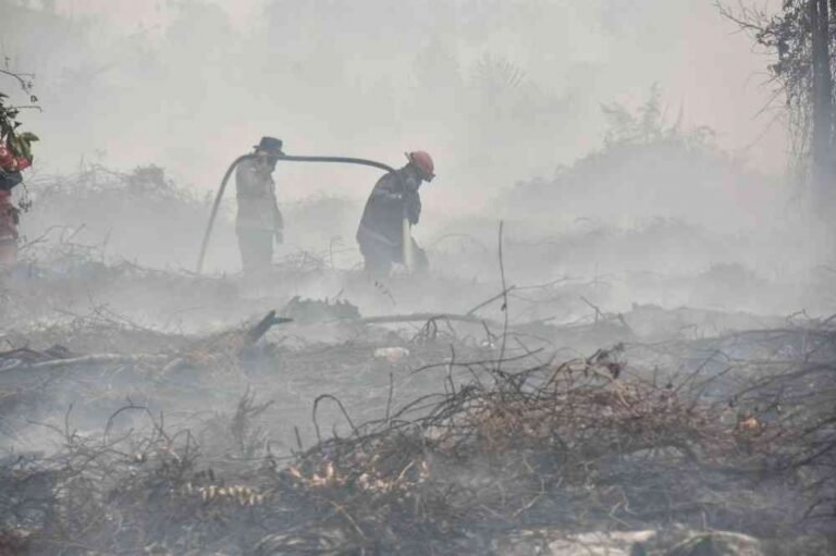 On Fire: Indonesias Unwavering Maxima
