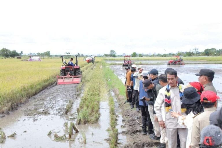 Program Cetak Sawah Rakyat Tingkatkan Kesejahteraan Masyarakat Lokal
