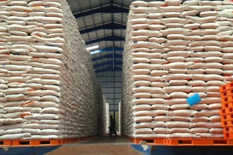 Cadangan Beras Ri Melonjak Jadi 4,2 Juta Ton, Ini 5 Kebijakan Yang Jadi Pendorongnya