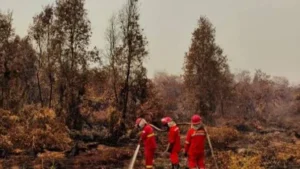 Karhutla Jadi Prioritas Nasional, Pemerintah Kerahkan Operasi Terpadu