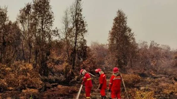 Karhutla Jadi Prioritas Nasional, Pemerintah Kerahkan Operasi Terpadu