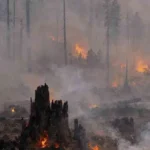 Southeast Asias Transboundary Haze: Sovereignty and Responsibility