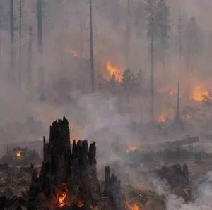 Southeast Asias Transboundary Haze: Sovereignty and Responsibility